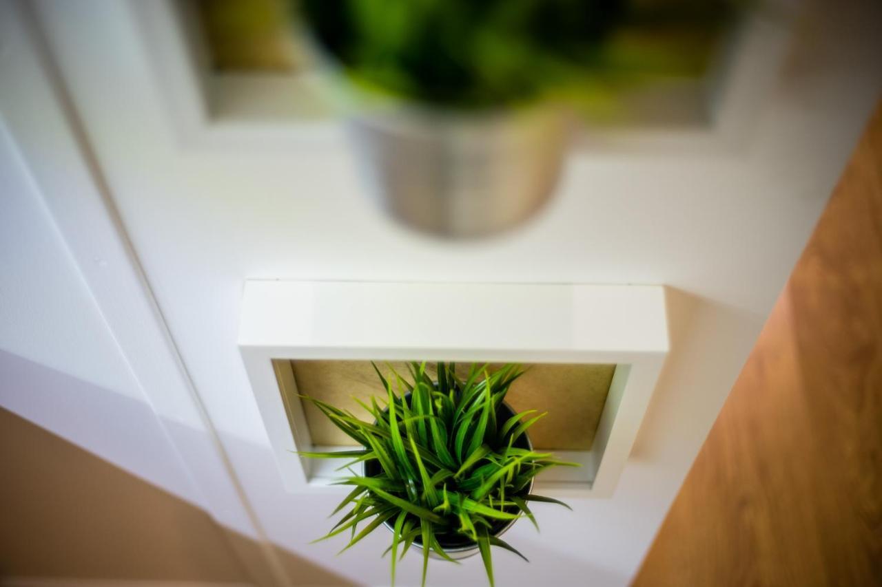 Apartament Wietora Wawelofts Krakkó Kültér fotó